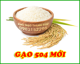 Gạo 504 mới